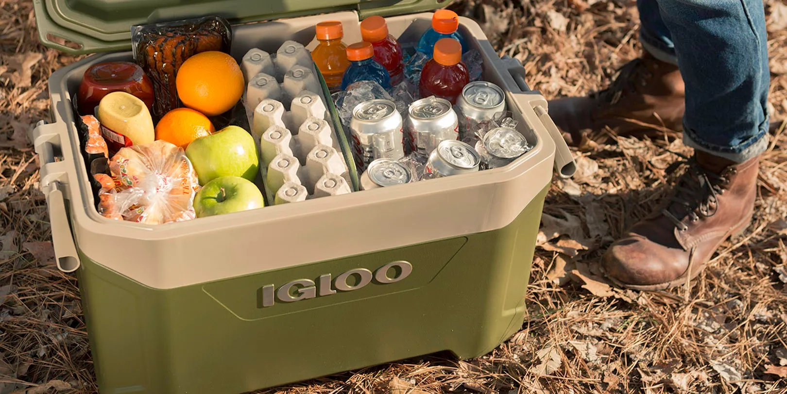 Igloo Latitude Cooler